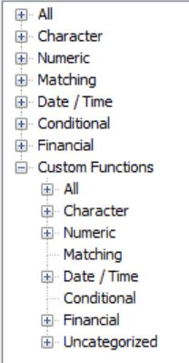 Custom Functions - פתרונות לבקרה וביקורת פנים